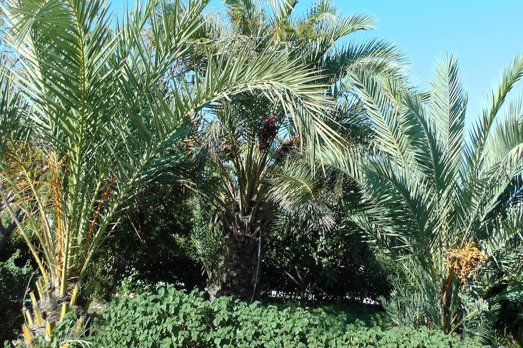 גנאדי Petasos Apartments 1 מראה חיצוני תמונה